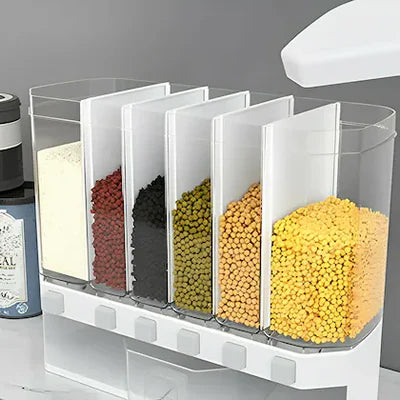 Daal Rack Food Storage Container with Sections My Store